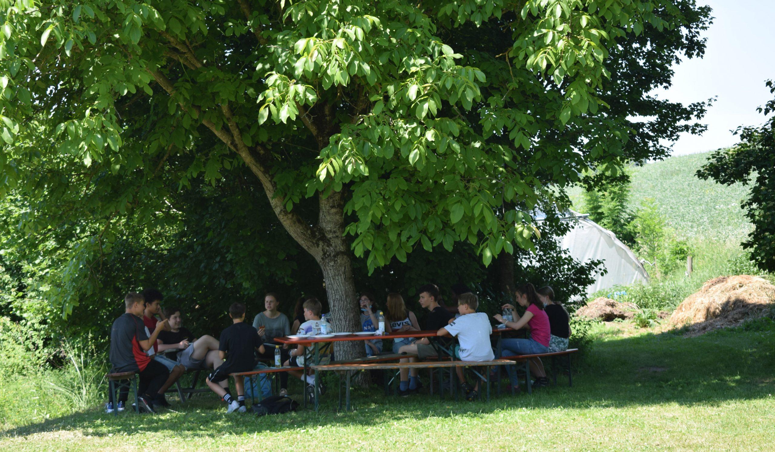 Schüler*innen der Jugendschule Eberharting beraten und planen unter einem Walnussbaum im Garten